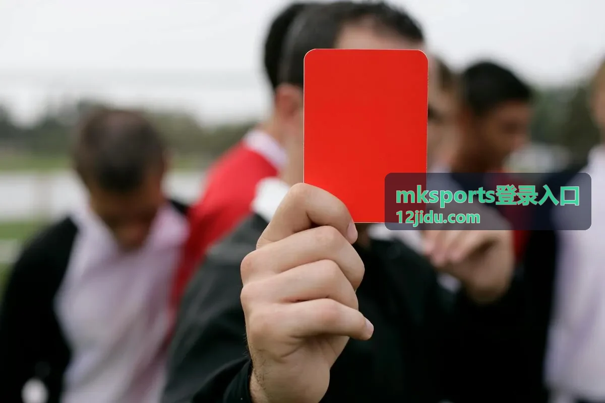 mksports登录入口第二批报名公告配图